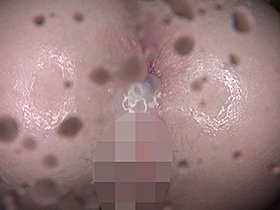 性春アナル・ソー・ヤング4時間 〜可愛い女の子たちの尻の穴FUCKまとめ〜　サンプル画像03